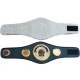 IBO Boxing Championship Mini Belt Replica 