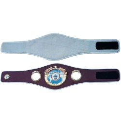 WBO World Boxing Champion Ship Replica Boxing Belt Adult