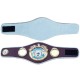 WBO Boxing Championship Belt Replica Mini