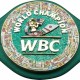 WBC EMERALD Championship Boxing Belt Genuine Leather & PU Leather Replica Adult