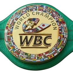 WBC Championship Boxing Belt Leather Adult Titles Belts High quality With Box 