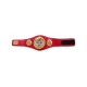 IBF Championship Belt Replica International Boxing Federation