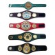 WBC WBO WBA IBF IBO Championships Boxing Mini Belts Various Style