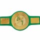 WWE 24/7 Champion Title Wrestling Belt High Quality Metal Bras Plated