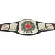 WWE CM PUNK Wrestling Championship Leather Belt