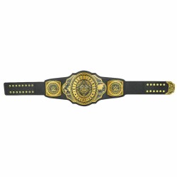 WWE Intercontinental Championship Belt Brass Metal Plated Title Belt Gold