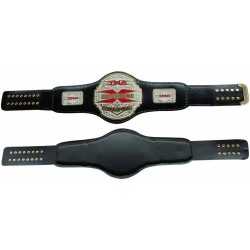 TNA X Division Championship Leather Belt Metal Brass Plated Adult Size Brand New