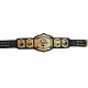 TNA World Tag Team Wrestling championship belt.adult size belt