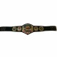 TNA United States Wrestling Championship Belt Adult Size